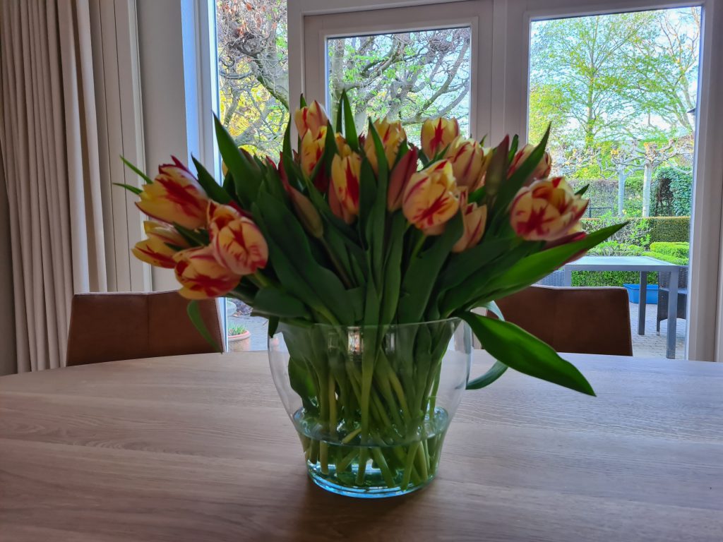 Tulpen op vaas